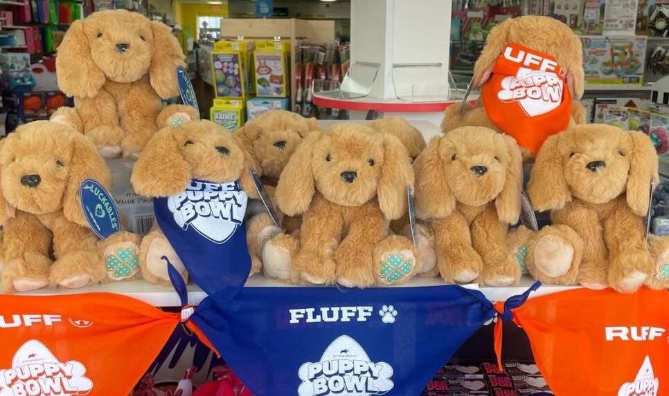 learning express puppy dog display store window with bandanas