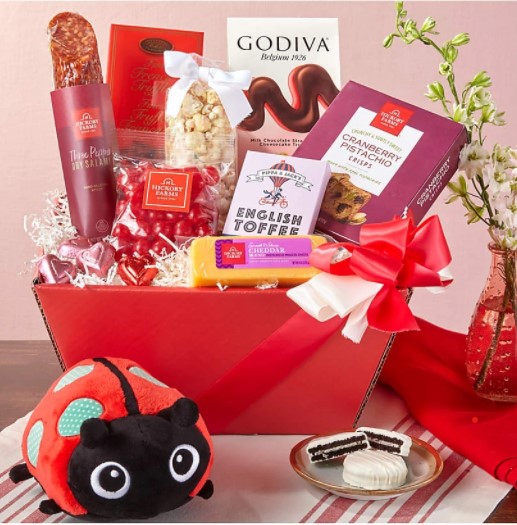 lily the lady bug plush doll in front of a basket of food items